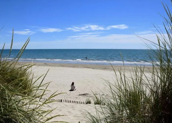 شقة Super ! Terrasse, Clim, Parking, 2min Plage.